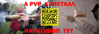 шишки Лесосибирск